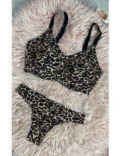 Conjunto Armonia
