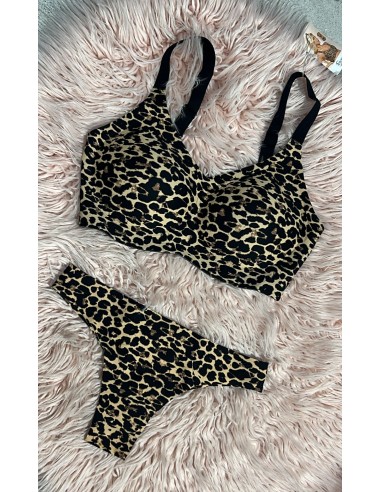 Conjunto Armonia